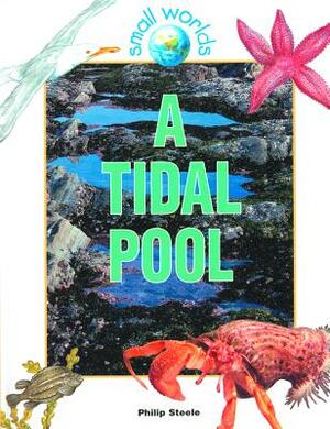 A Tidal Pool by Philip Steele