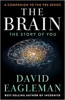 مغز: داستان شما by David Eagleman