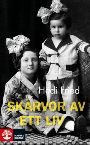 Skärvor av ett liv: Vägen till och från Auschwitz by Hédi Fried