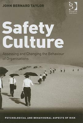 Safety Culture: Assessing and Changing the Behaviour of Organisations by John Bernard Taylor