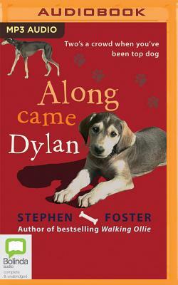 Along Came Dylan by Stephen Foster