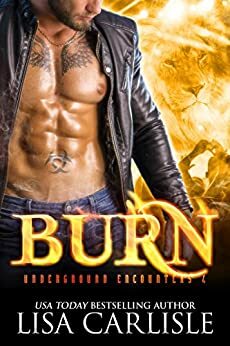 Burn by Lisa Carlisle
