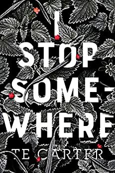 I Stop Somewhere by T.E. Carter