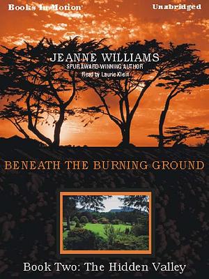 The Hidden Valley by Jeanne Williams