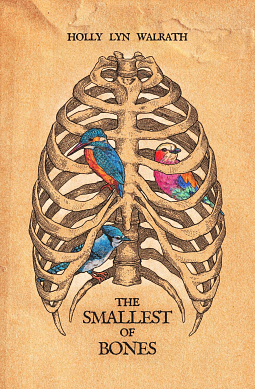  The Smallest of Bones by Holly Lyn Walrath