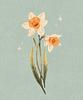 lcc_xx's profile picture