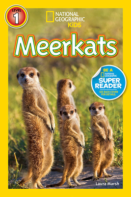 Meerkats by Laura Marsh