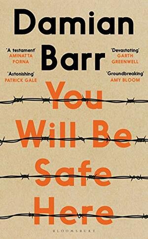 You Will Be Safe Here by Damian Barr