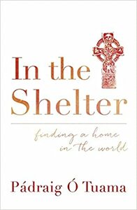 In the Shelter: Finding a Home in the World by Pádraig Ó Tuama
