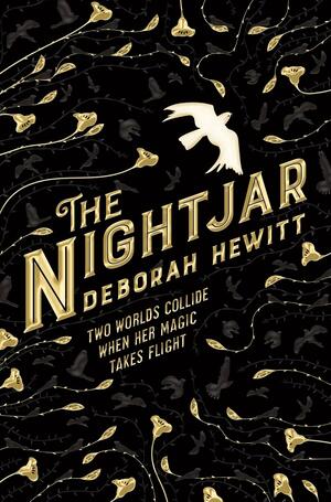 The Nightjar by Deborah Hewitt