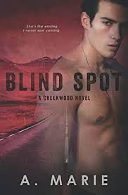 Blind Spot by A. Marie