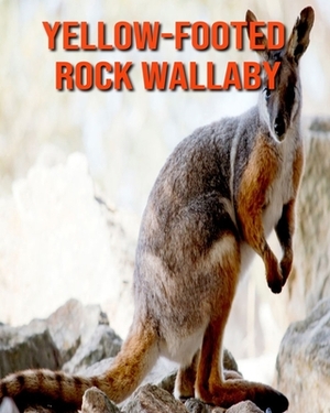 Yellow-Footed Rock Wallaby: Learn About Yellow-Footed Rock Wallaby and Enjoy Colorful Pictures by Matilda Leo