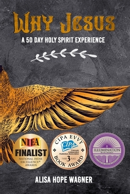 Why Jesus: A 50 Day Holy Spirit Experience by Alisa Hope Wagner