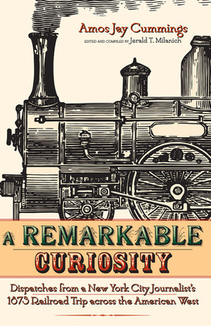 A Remarkable Curiosity: Dispatches from a New York City Journalist's 1873 Railroad Trip across the American West by Amos Jay Cummings