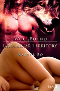 Unfamiliar Territory by Rachel Bo