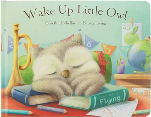 Wake Up Little Owl by Gareth Llewhellin, Kirsten Irving