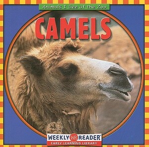 Camels by JoAnn Early Macken