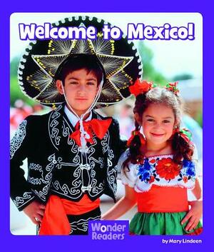 Welcome to Mexico by Mary Lindeen