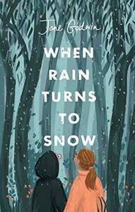 When Rain Turns to Snow by Jane Godwin