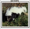 Skunks by Lynn M. Stone