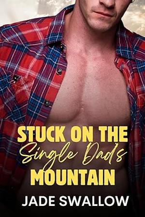 Stuck on the Single Dad's Mountain by Jade Swallow