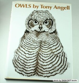 Owls by Tony Angell
