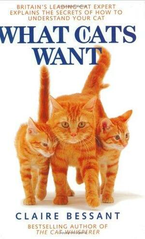 What cats want by Claire Bessant