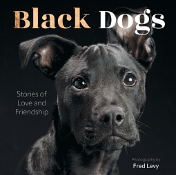 Black Dogs: Stories of Love and Friendship by Fred Levy