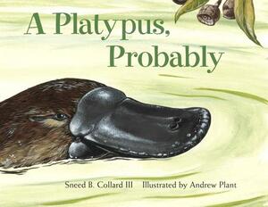 A Platypus, Probably by Sneed B. Collard