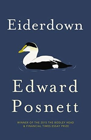 Eiderdown by Edward Posnett