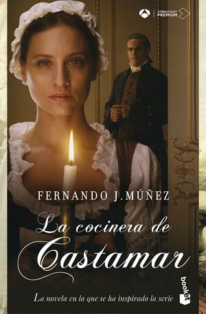 La cocinera de Castamar (Castamar #1) by Fernando J. Múñez
