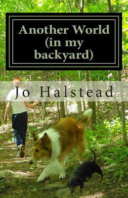 Another World: (in my backyard) by Jo Halstead