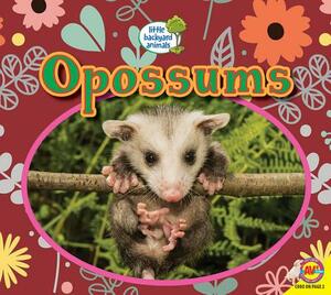 Opossums by Heather Kissock