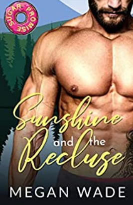 Sunshine and the Recluse by Megan Wade
