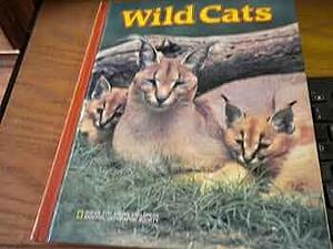 Wild Cats by Peggy D. Winston