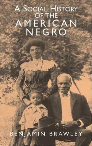 Social History of the American Negro by Benjamin Griffith Brawley
