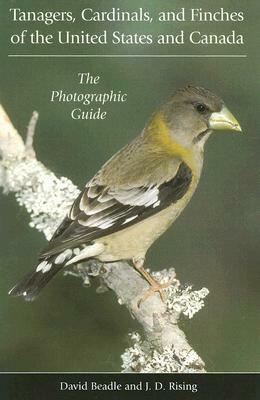 Tanagers, Cardinals, and Finches of the United States and Canada: The Photographic Guide by David Beadle, James D. Rising