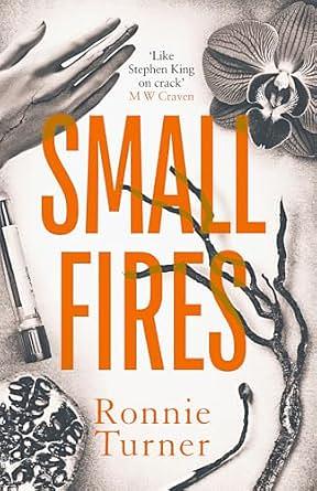 Small Fires by Ronnie Turner