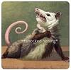 kattbiff's profile picture