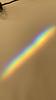 salomaus's profile picture