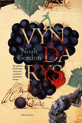 Vyndarys by Noah Gordon