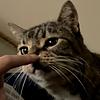 emolr's profile picture