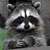 kesg2021's profile picture