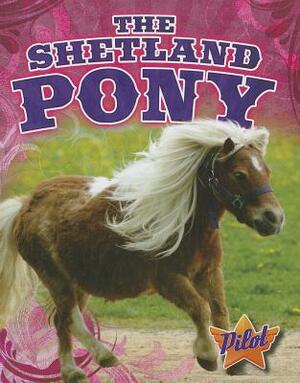 The Shetland Pony by Sara Green