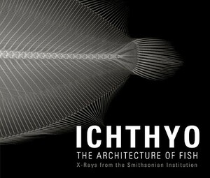 Ichthyo: The Architecture of Fish: X-Rays from the Smithsonian Institution by Deborah Klochko, Stephanie Comer