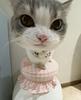 faerythefairy's profile picture