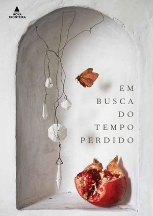 Em Busca do Tempo Perdido by Fernando Py, Marcel Proust