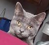 hannii's profile picture