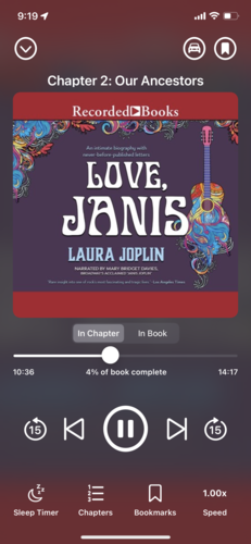 Love, Janis by Laura Joplin