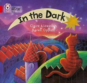 In the Dark by Claire Llewellyn